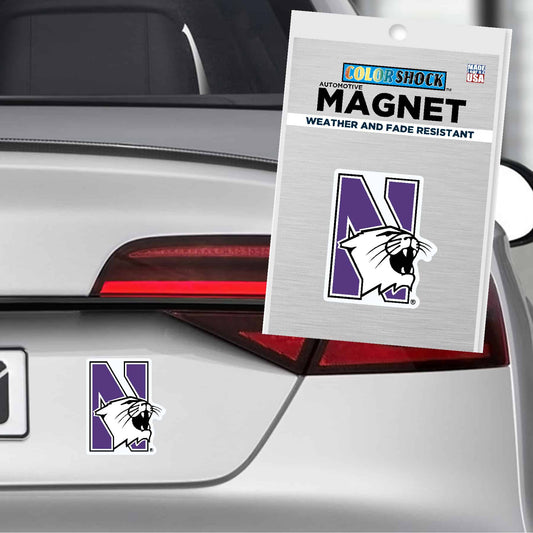 Northwestern University Wildcats 4" High Flexible Multi-Color N-cat Magnet