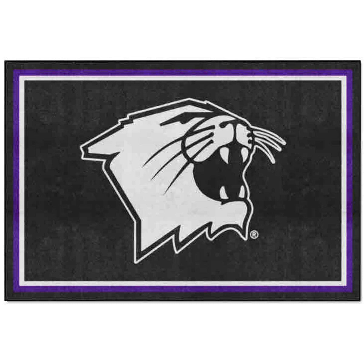 Northwestern University Wildcats Plush Area Rug 60"X88"