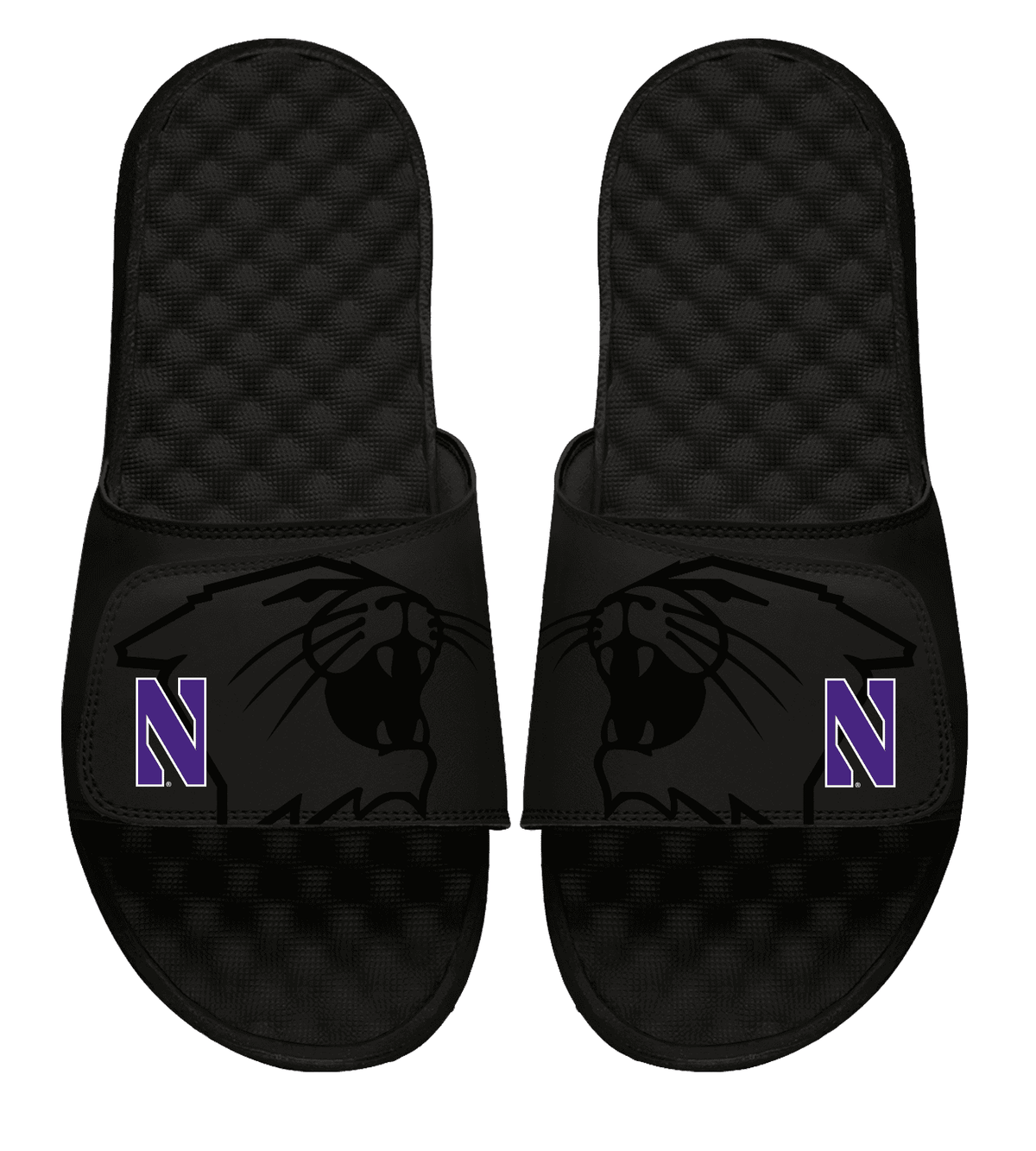 Northwestern University Wildcats Black ISlide Flip Flops with Cat's Head Design