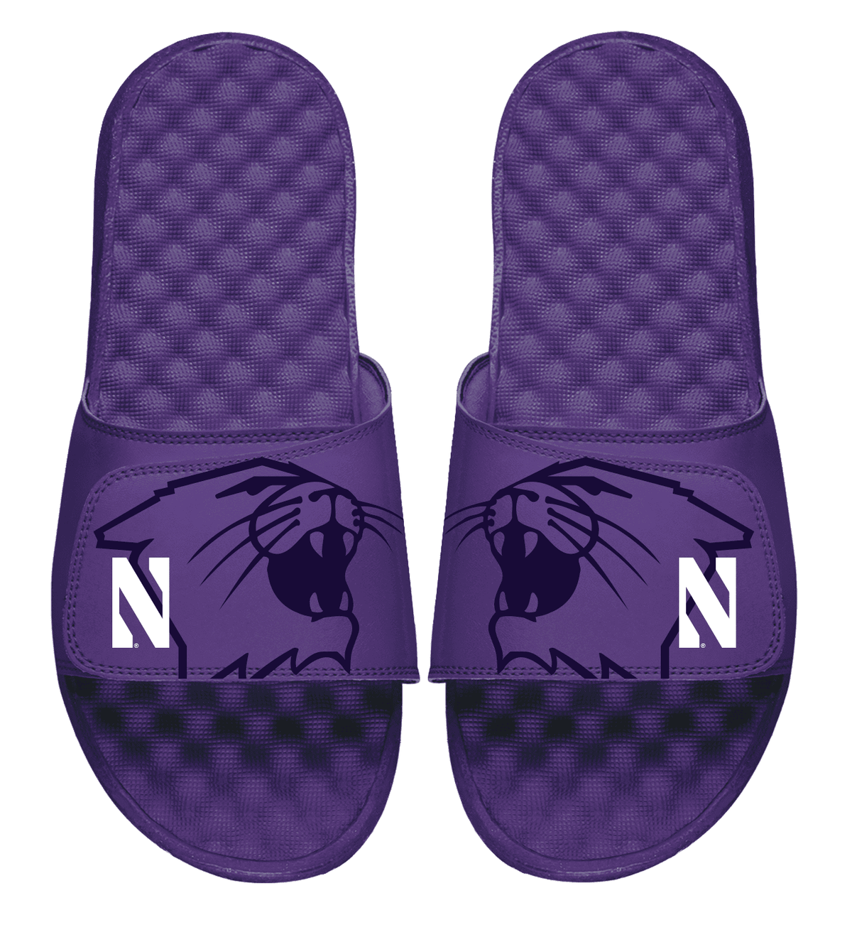 Northwestern University Wildcats Purple ISlide Flip Flops with Cat's Head Design