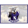Northwestern Wildcats Postcard Willie the Wildcat in Front of the Aerial View of Ryan Field NU0001