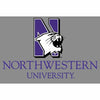 Northwestern Wildcats Postcard NU Mascot Design on Gray Background NU0005