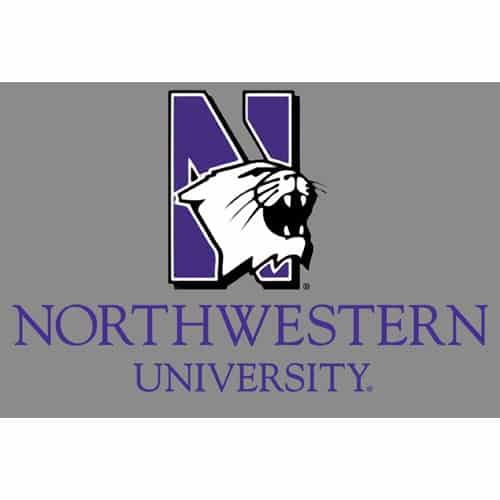 Northwestern Wildcats Postcard NU Mascot Design on Gray Background NU0005