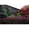 Northwestern Wildcats Postcard Block Museum of Art, Mary and Leigh NU0014