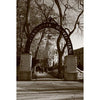 Northwestern Wildcats Postcard Weber Arch NU0018
