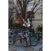 Northwestern Wildcats Postcard Parking Zone on Northwestern Campus NU0021