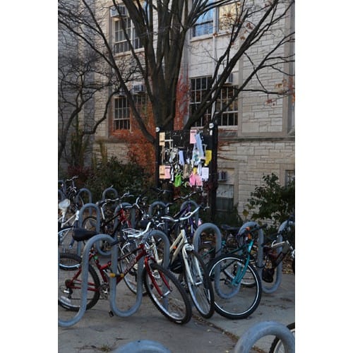 Northwestern Wildcats Postcard Parking Zone on Northwestern Campus NU0021