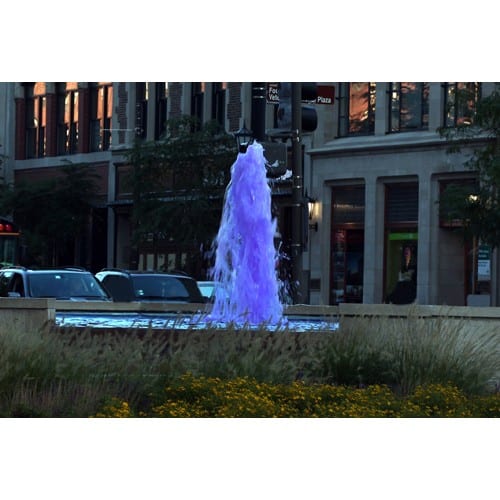 Northwestern Wildcats Postcard Painting the Town Purple at Fountain Square NU0041