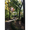 Northwestern Wildcats Postcard Pathway on Northwestern University Campus NU0042