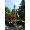 Northwestern Wildcats Postcard Deering Library NU0044