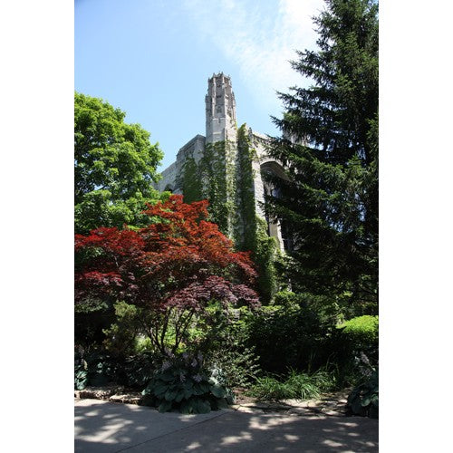 Northwestern Wildcats Postcard Deering Library NU0044