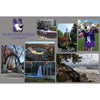 Northwestern Wildcats Postcard Montage with Mascot Design NU0056