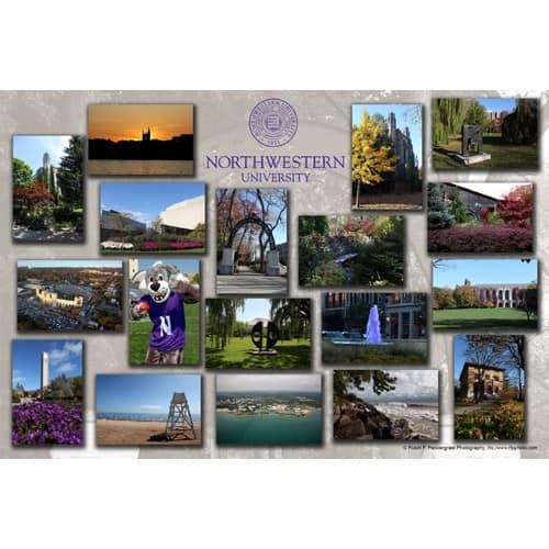 Northwestern Wildcats Postcard Montage with Grey Upper Seal Northwestern University NU0058