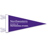 Northwestern School of Professional Studies Wool Felt Pennant Size Small 6"X15"