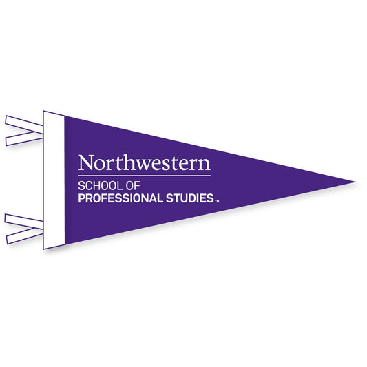 Northwestern School of Professional Studies Wool Felt Pennant Size Small 6"X15"