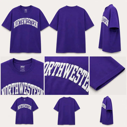Northwestern University Wildcats Men's MV Purple Classic Tee with One Color Arch Design in Puffy Print