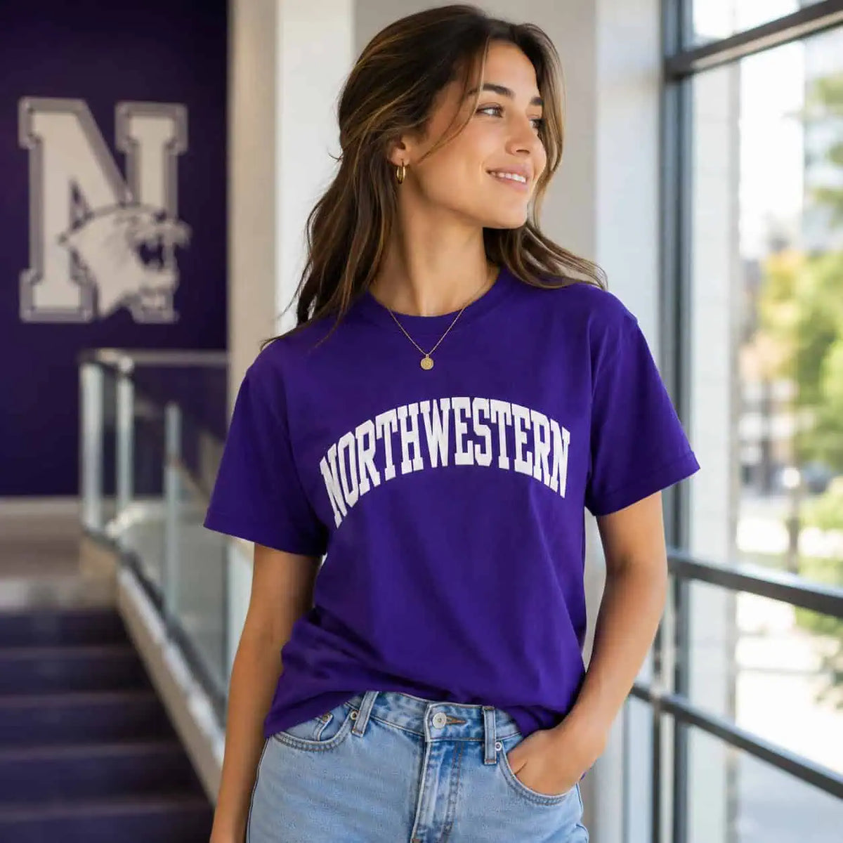 Northwestern University Wildcats Men's MV Purple Classic Tee with One Color Arch Design in Puffy Print