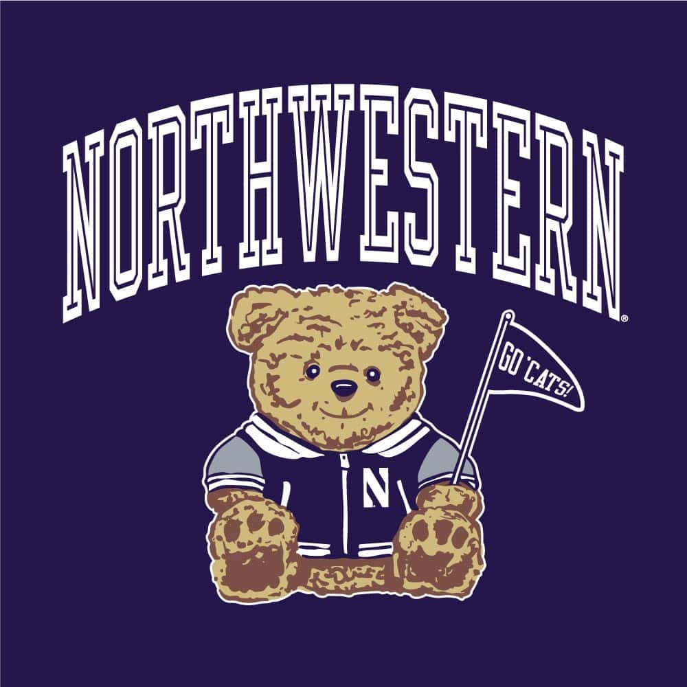 Northwestern University Wildcats Men's Purple Crewneck Sweatshirt with Sitting Bear Design