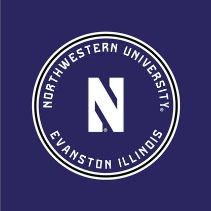 Northwestern University Wildcats Ladies Under Armour Purple Training Camp Performance Cotton Muscle Tank Top-4