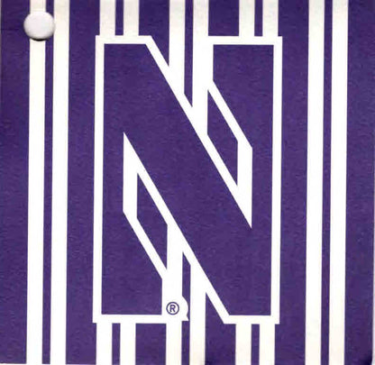Northwestern University Wildcats N Shaped Cookie Cutter with Recipe Card