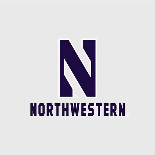 Northwestern University Wildcats Champion Men's Silver Grey Super Heavy Weight Reverse Weave Jogger Pant With Stylized N over Northwestern Design