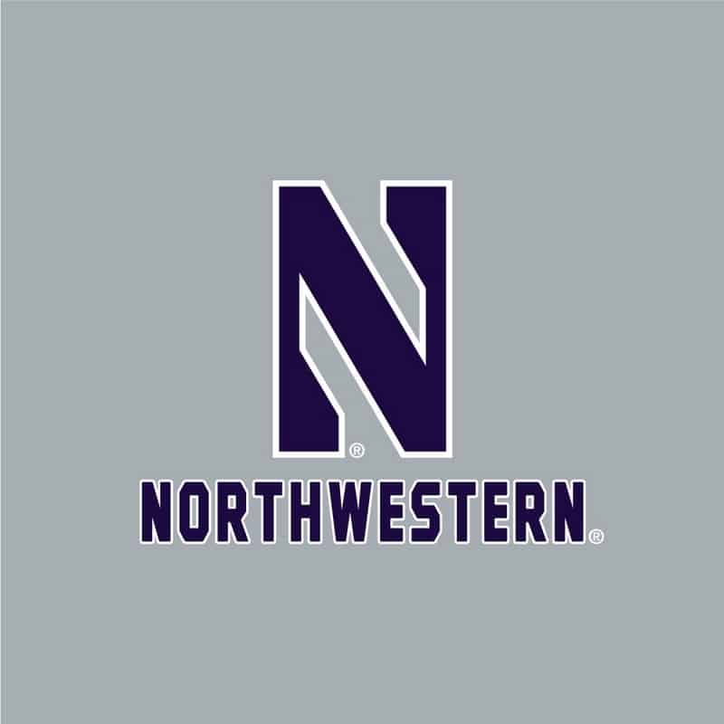 Northwestern University Wildcats Champion Men's Oxford Heather Super Heavy Weight Reverse Weave Jogger Pant With Stylized N over Northwestern Design-2