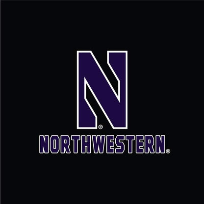 Northwestern University Wildcats Champion Men's Black Super Heavy Weight Reverse Weave Jogger Pant With Stylized N over Northwestern Design -2