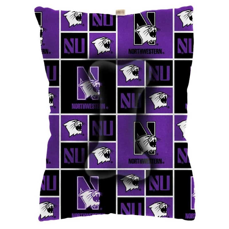 Northwestern University Wildcats Small Pet Bed With All Over Design
