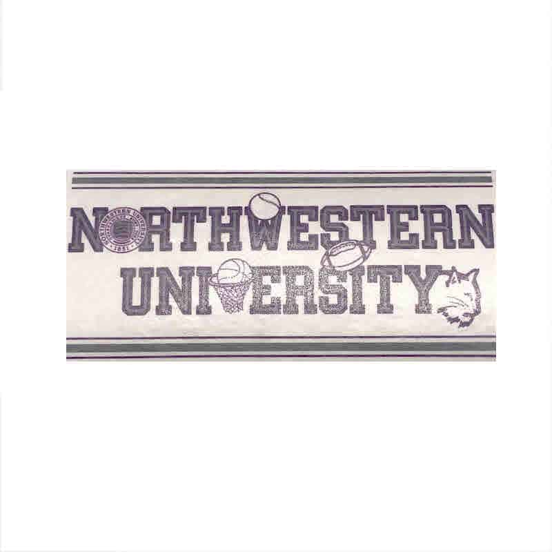 Northwestern University Wildcats Vintage Sport Design Inside Application Window Decal 3.25"X7"