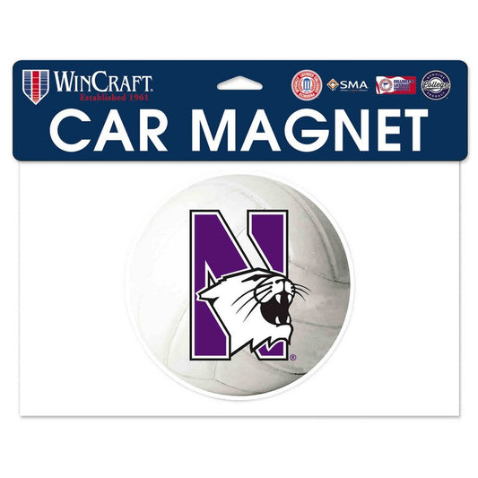 Northwestern Wildcats Flexible Magnet with N-Cat Printed on a Multicolor Image of a Waterpolo Ball 6.1" x 6.1"