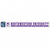 Northwestern Wildcats Perfect Cut Long Decals 2" x 17" with N-cat & Northwestern Wildcats Design