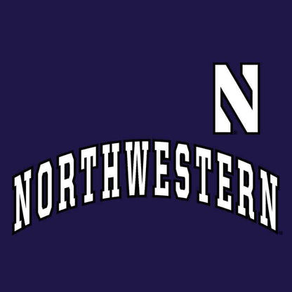 Northwestern University Wildcats Champion Men's Purple Pullover Hockey Hooded Sweatshirt with Arch & Stylized N Design