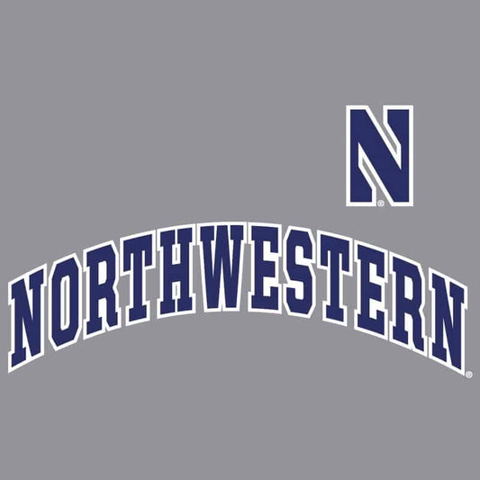 Northwestern University Wildcats Champion Men's Grey Pullover Hockey Hooded Sweatshirt with Arch & Stylized N Design