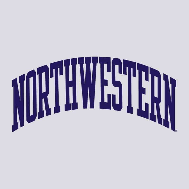 Northwestern University Wildcats Men's Silver Grey Champion Super Heavy Reverse Weave Crewneck Sweatshirt with Purple Arched Northwestern Wool Sewn Appliqué Design