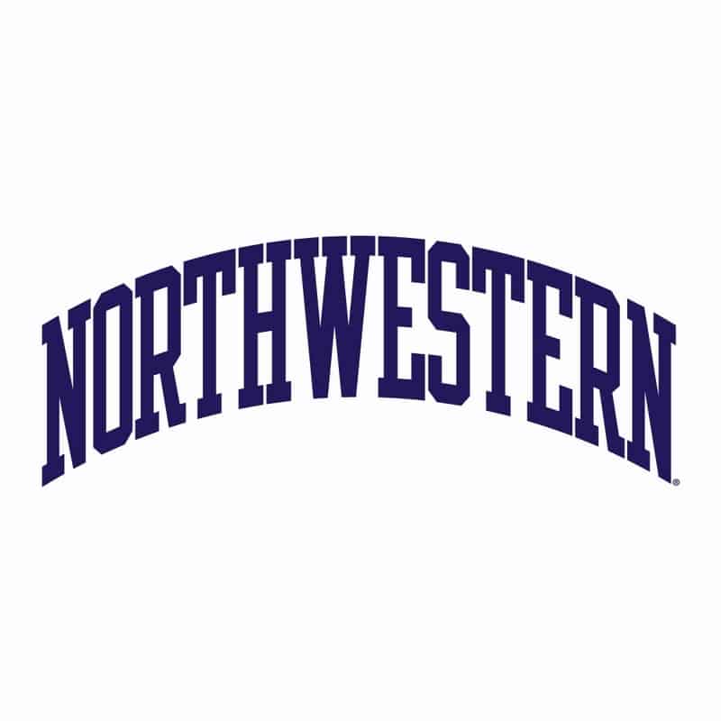Northwestern University Wildcats Men's White Champion Super Heavy Reverse Weave Crewneck Sweatshirt with Purple Arched Northwestern Wool Sewn Appliqué Design