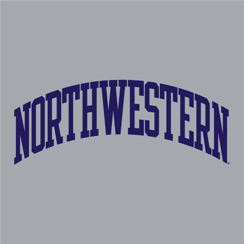 Northwestern University Wildcats Men's Heather Grey Champion Eco Powerblend Crewneck Sweatshirt with Purple Arched Northwestern Wool Sewn Appliqué Design -3