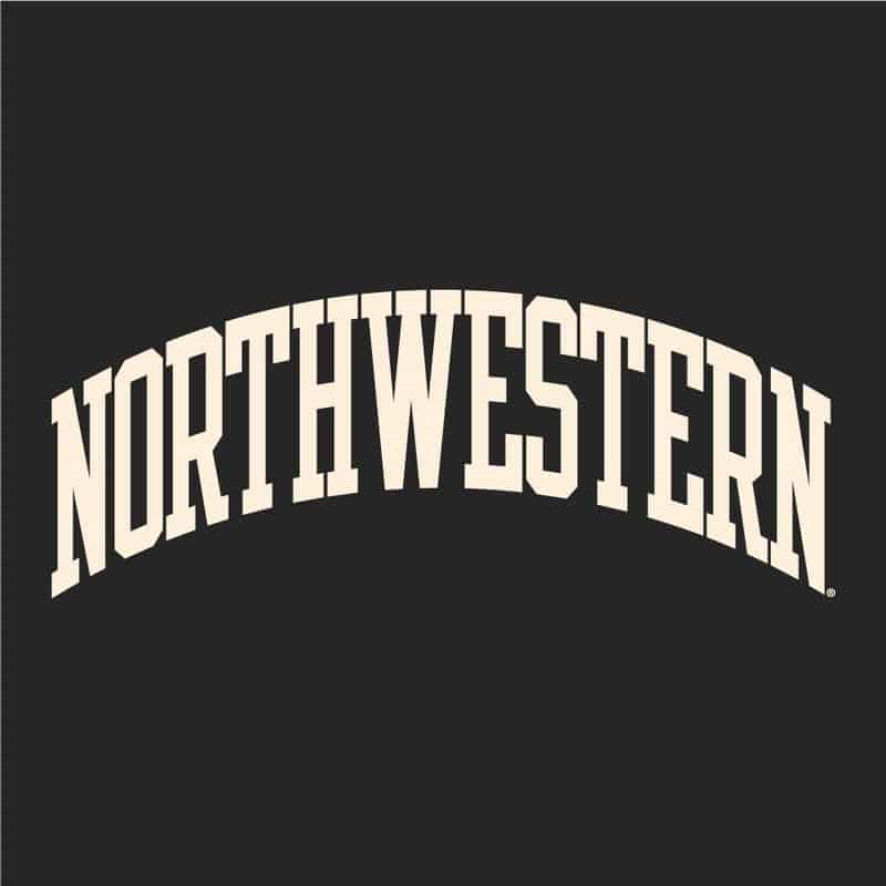 Northwestern University Wildcats Men's Granite Heather Champion Eco Powerblend Crewneck Sweatshirt with Creamy White Arched Northwestern Wool Sewn Appliqué Design -3