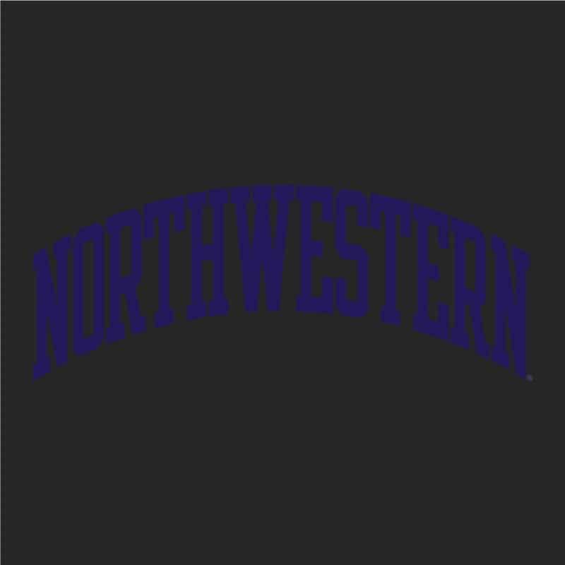 Northwestern University Wildcats Men's Granite Heather Champion Eco Powerblend Crewneck Sweatshirt with Purple Arched Northwestern Wool Sewn Appliqué Design -3