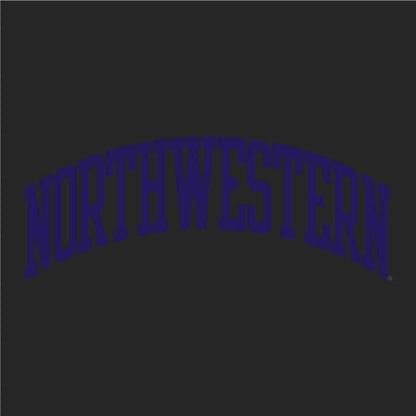 Northwestern University Wildcats Men's Granite Heather Champion Eco Powerblend Crewneck Sweatshirt with Purple Arched Northwestern Wool Sewn Appliqué Design -3