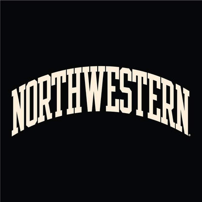 Northwestern University Wildcats Men's Black Champion Super Heavy Reverse Weave Crewneck Sweatshirt with Creamy White Arched Northwestern Wool Sewn Appliqué Design -2