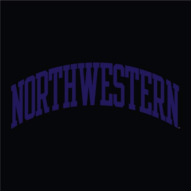 Northwestern University Wildcats Men's Black Champion Eco Powerblend Crewneck Sweatshirt with Purple Arched Northwestern Wool Sewn Appliqué Design-3