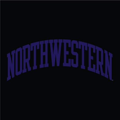 Northwestern University Wildcats Men's Black Champion Eco Powerblend Crewneck Sweatshirt with Purple Arched Northwestern Wool Sewn Appliqué Design-3