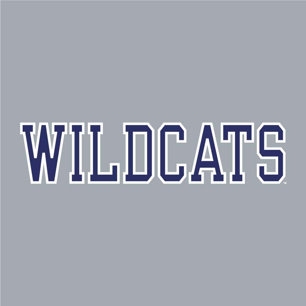 Northwestern University Wildcats Champion Men's Purple/Heather Pullover Hockey Hooded Sweatshirt with Diagonal & N-Cat Design -3