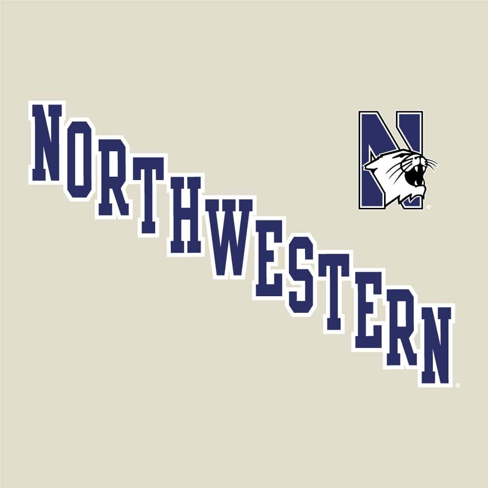 Northwestern University Wildcats Champion Men's Oatmeal/Heather Pullover Hockey Hooded Sweatshirt with Diagonal & N-Cat Design -2