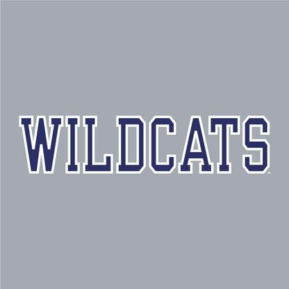 Northwestern University Wildcats Champion Men's Oatmeal/Heather Pullover Hockey Hooded Sweatshirt with Diagonal & N-Cat Design -4