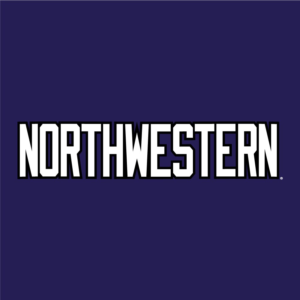 Northwestern University Wildcats Champion Men's Purple/Heather Pullover Hockey Hooded Sweatshirt with Big N-Cat Design 4