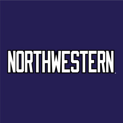 Northwestern University Wildcats Champion Men's Purple/Heather Pullover Hockey Hooded Sweatshirt with Big N-Cat Design 4