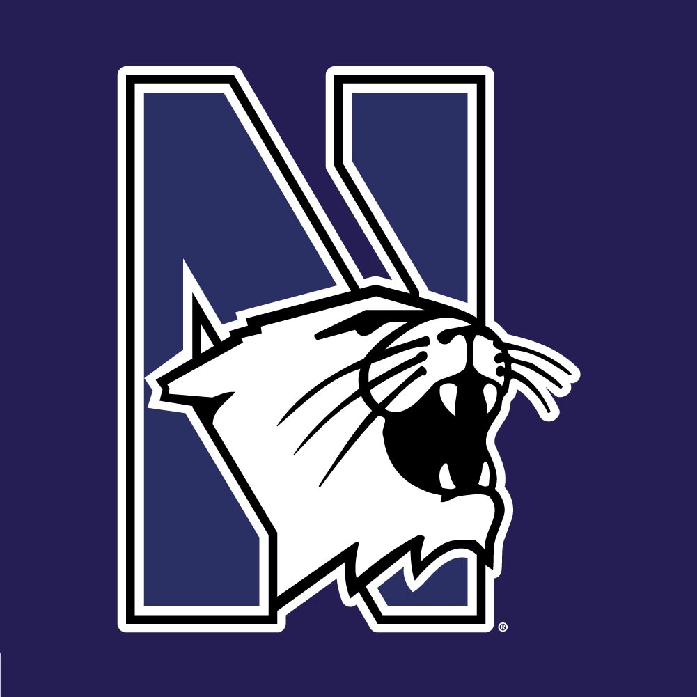 Northwestern University Wildcats Champion Men's Purple/Heather Pullover Hockey Hooded Sweatshirt with Big N-Cat Design 3