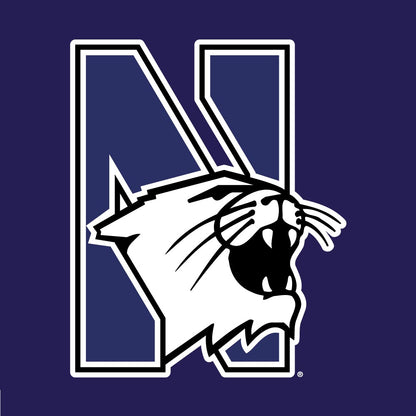 Northwestern University Wildcats Champion Men's Purple/Heather Pullover Hockey Hooded Sweatshirt with Big N-Cat Design 3