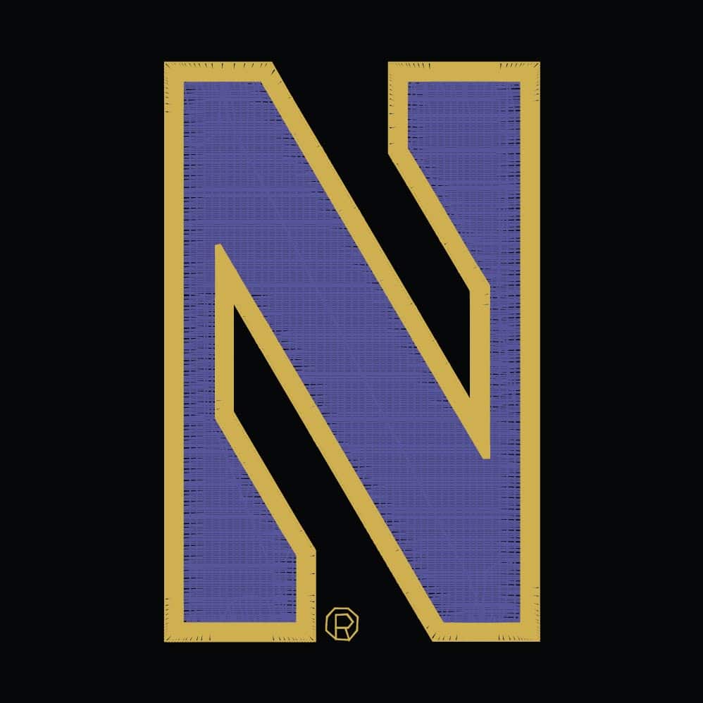 Northwestern University Wildcats Under Armour Renegade Adjustable Black Hat with Stylized N Gothic Collection Design